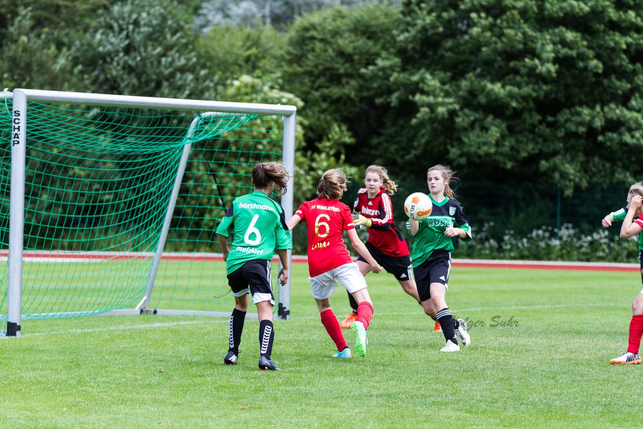 Bild 241 - C-Juniorinnen Landesmeister Finale SV Wahlstedt - TuRa Meldorf : Ergebnis: 1:4